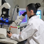 researcher working with fluorescent microscope