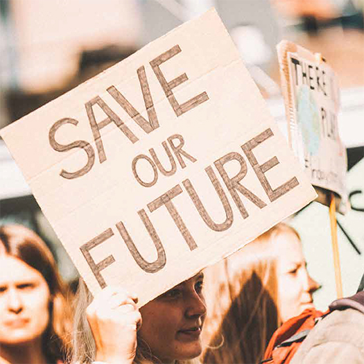 save_our_future_vignette